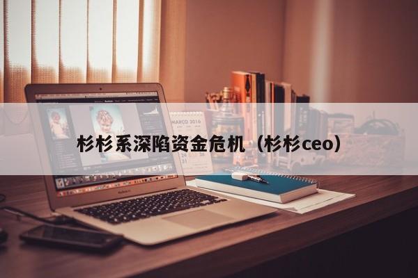 杉杉系深陷资金危机（杉杉ceo）