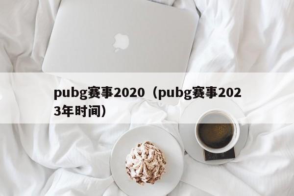 pubg赛事2020（pubg赛事2023年时间）