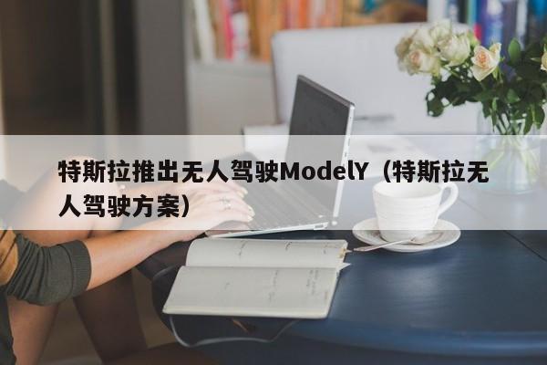 特斯拉推出无人驾驶ModelY（特斯拉无人驾驶方案）