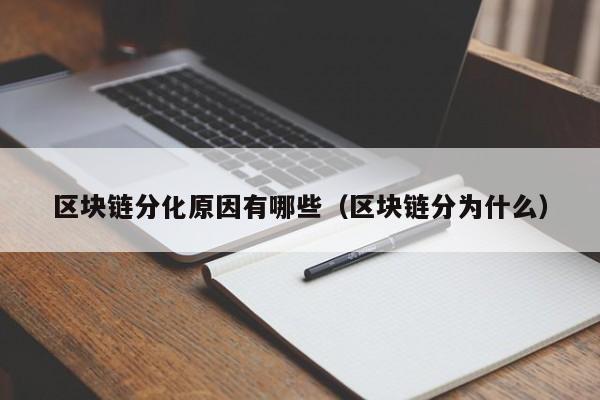 区块链分化原因有哪些（区块链分为什么）