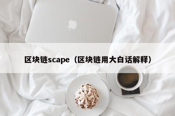 区块链scape（区块链用大白话解释）