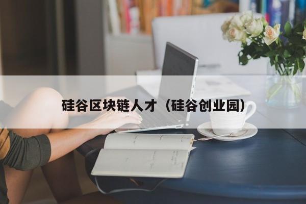 硅谷区块链人才（硅谷创业园）