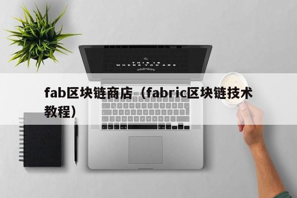 fab区块链商店（fabric区块链技术教程）