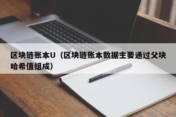 区块链账本U（区块链账本数据主要通过父块哈希值组成）