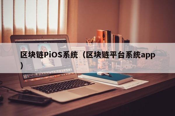 区块链PiOS系统（区块链平台系统app）